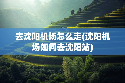 去沈阳机场怎么走(沈阳机场如何去沈阳站)
