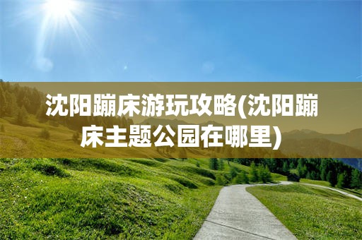 沈阳蹦床游玩攻略(沈阳蹦床主题公园在哪里)