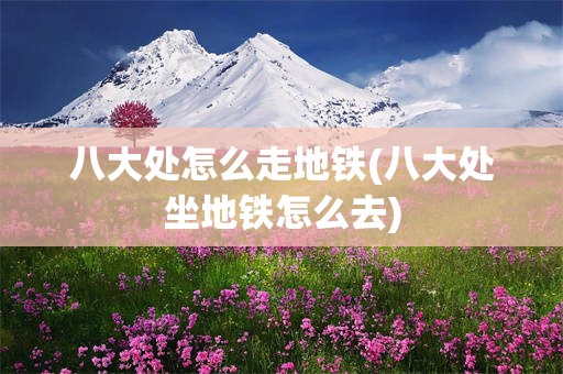 八大处怎么走地铁(八大处坐地铁怎么去)