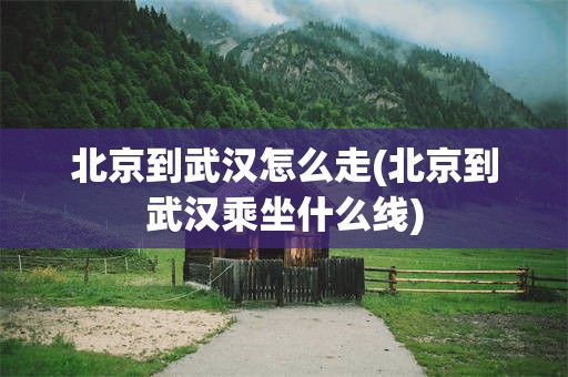 北京到武汉怎么走(北京到武汉乘坐什么线)