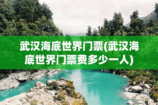武汉海底世界门票(武汉海底世界门票费多少一人)