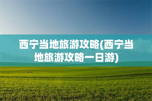 西宁当地旅游攻略(西宁当地旅游攻略一日游)