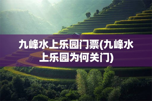九峰水上乐园门票(九峰水上乐园为何关门)