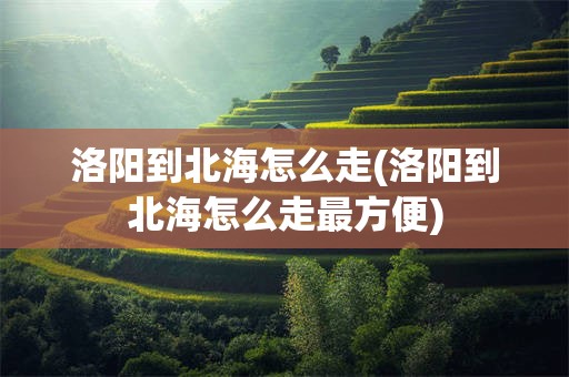 洛阳到北海怎么走(洛阳到北海怎么走最方便)