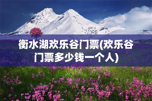 衡水湖欢乐谷门票(欢乐谷门票多少钱一个人)