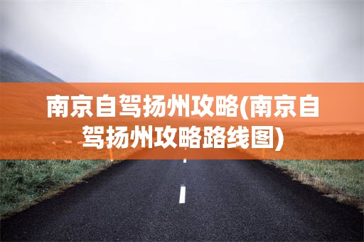 南京自驾扬州攻略(南京自驾扬州攻略路线图)